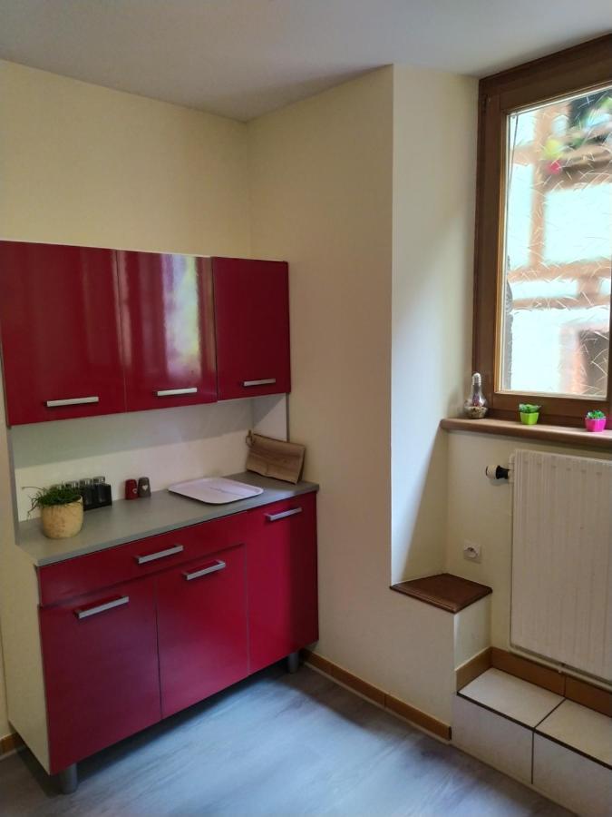 Chey Mybam, Agreable Maison Au Centre De Selestat Villa Eksteriør billede