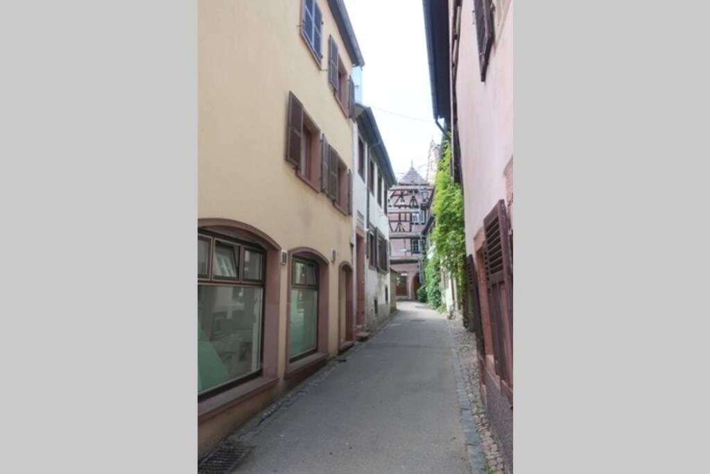 Chey Mybam, Agreable Maison Au Centre De Selestat Villa Eksteriør billede