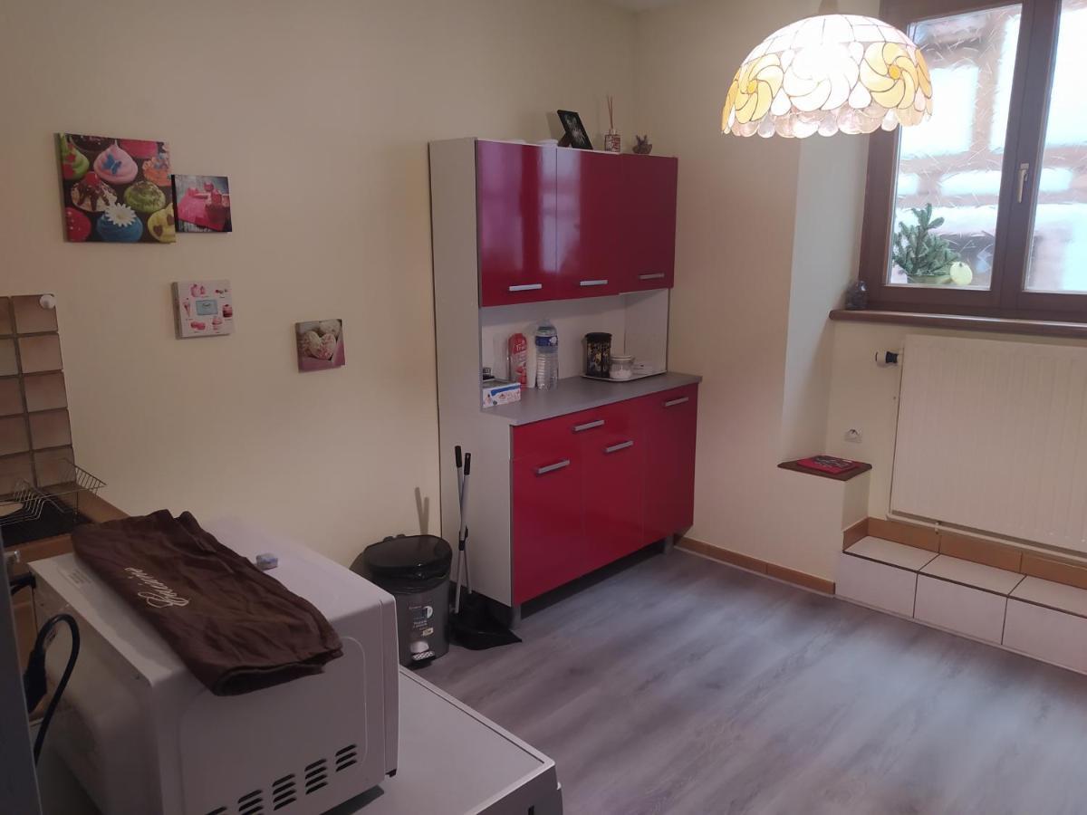 Chey Mybam, Agreable Maison Au Centre De Selestat Villa Eksteriør billede