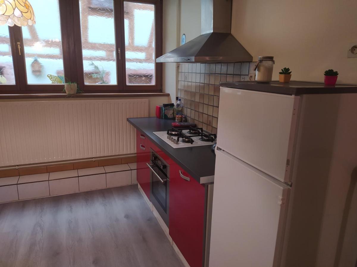Chey Mybam, Agreable Maison Au Centre De Selestat Villa Eksteriør billede